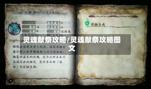 灵魂献祭攻略/灵魂献祭攻略图文