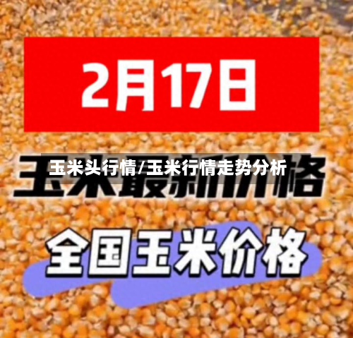 玉米头行情/玉米行情走势分析