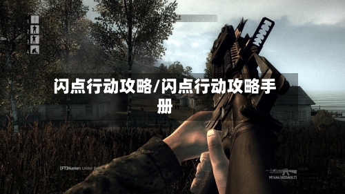 闪点行动攻略/闪点行动攻略手册-第1张图片