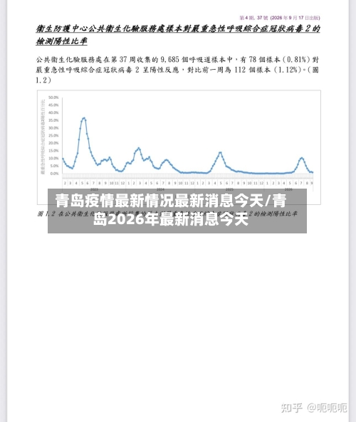 青岛疫情最新情况最新消息今天/青岛2026年最新消息今天-第3张图片
