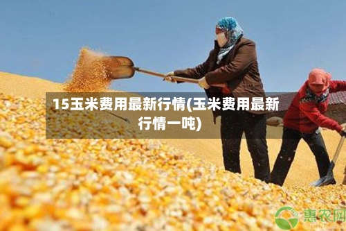 15玉米费用最新行情(玉米费用最新行情一吨)