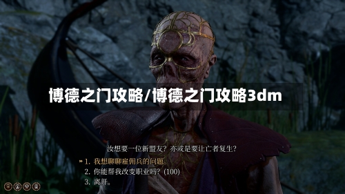 博德之门攻略/博德之门攻略3dm-第1张图片