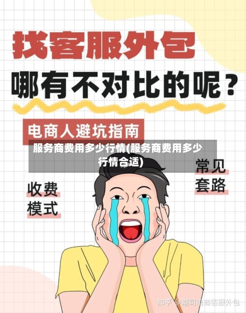 服务商费用多少行情(服务商费用多少行情合适)