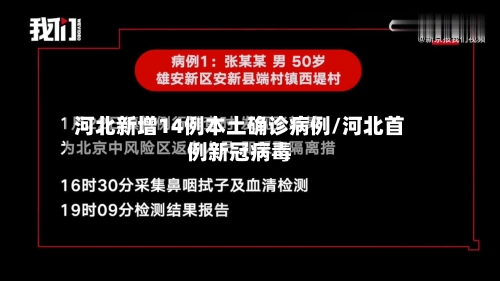 河北新增14例本土确诊病例/河北首例新冠病毒-第2张图片