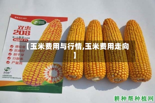 【玉米费用与行情,玉米费用走向】-第1张图片