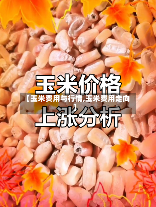 【玉米费用与行情,玉米费用走向】-第2张图片