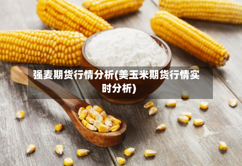 强麦期货行情分析(美玉米期货行情实时分析)-第1张图片