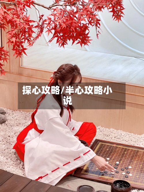 探心攻略/半心攻略小说-第1张图片