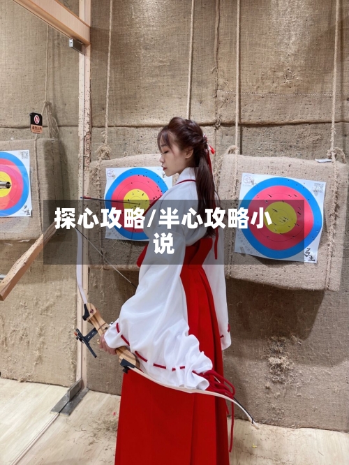 探心攻略/半心攻略小说-第3张图片