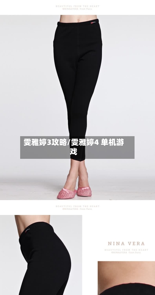 雯雅婷3攻略/雯雅婷4 单机游戏-第1张图片