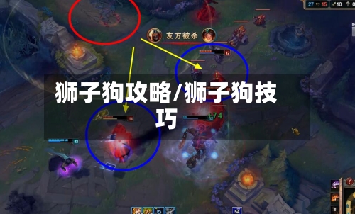 狮子狗攻略/狮子狗技巧
