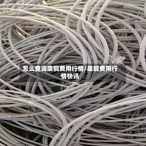 怎么查询废铜费用行情/废铜费用行情快讯