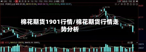 棉花期货1901行情/棉花期货行情走势分析