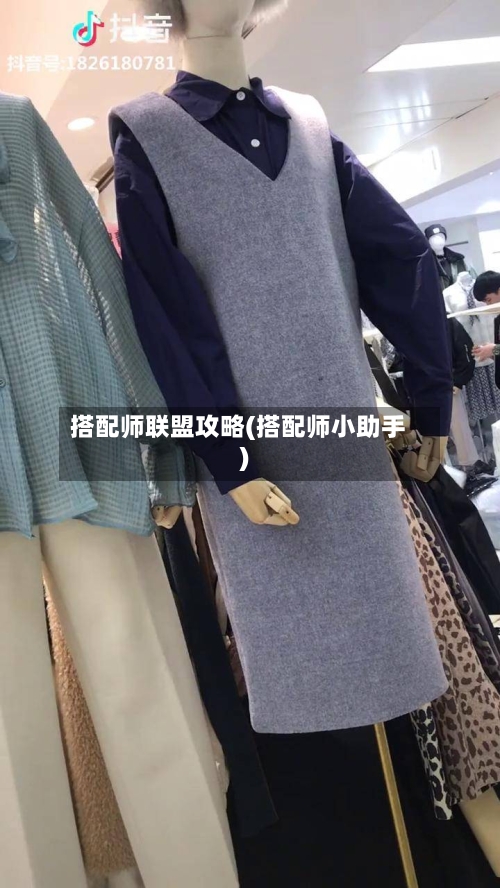 搭配师联盟攻略(搭配师小助手)-第1张图片