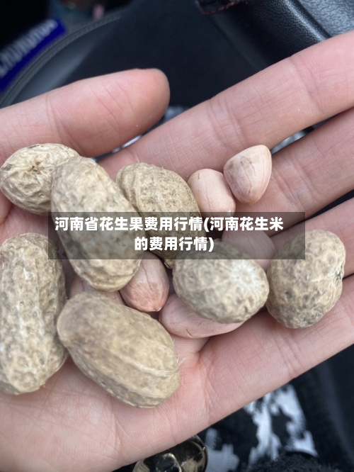 河南省花生果费用行情(河南花生米的费用行情)-第1张图片