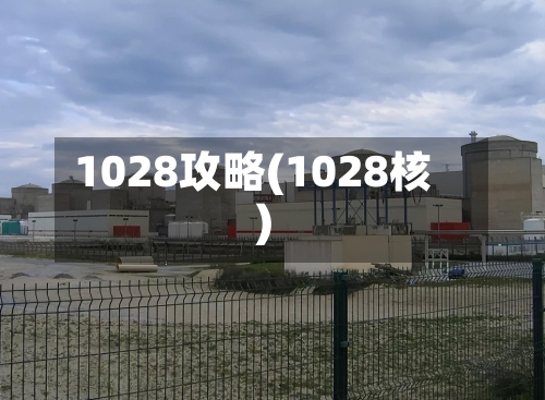 1028攻略(1028核)
