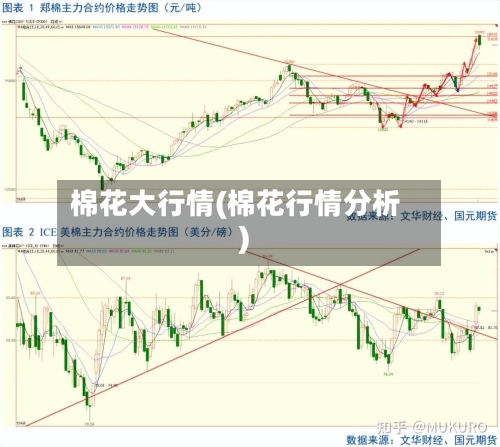 棉花大行情(棉花行情分析)-第1张图片