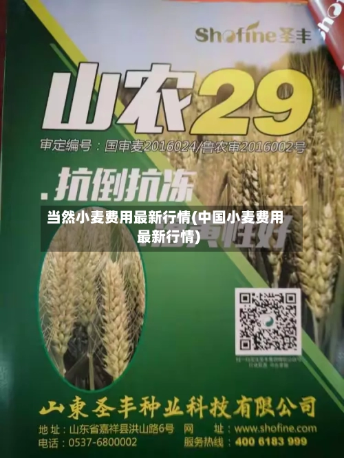 当然小麦费用最新行情(中国小麦费用最新行情)-第1张图片