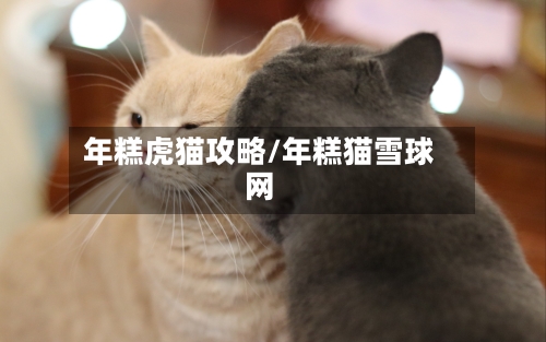 年糕虎猫攻略/年糕猫雪球网-第1张图片