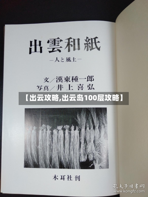 【出云攻略,出云岛100层攻略】-第2张图片