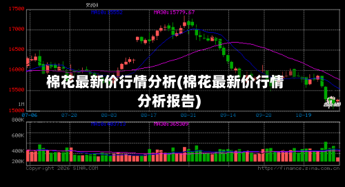 棉花最新价行情分析(棉花最新价行情分析报告)-第2张图片