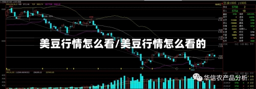 美豆行情怎么看/美豆行情怎么看的-第2张图片