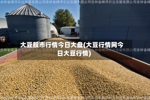大豆股市行情今日大盘(大豆行情网今日大豆行情)