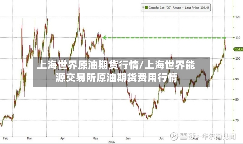上海世界原油期货行情/上海世界能源交易所原油期货费用行情-第2张图片