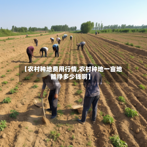 【农村种地费用行情,农村种地一亩地能挣多少钱啊】