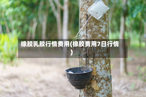 橡胶乳胶行情费用(橡胶费用7日行情)-第1张图片