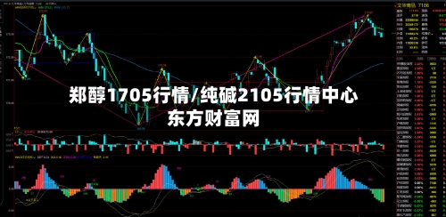 郑醇1705行情/纯碱2105行情中心东方财富网
