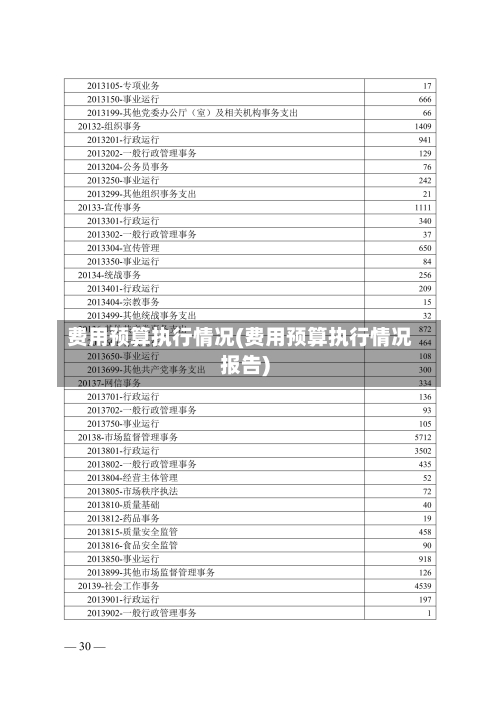 费用预算执行情况(费用预算执行情况报告)