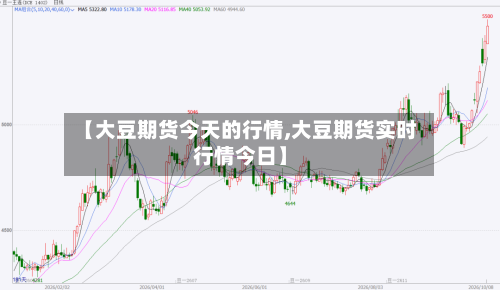 【大豆期货今天的行情,大豆期货实时行情今日】
