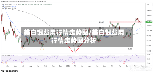 美白银费用行情走势图/美白银费用行情走势图分析