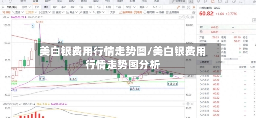 美白银费用行情走势图/美白银费用行情走势图分析-第2张图片