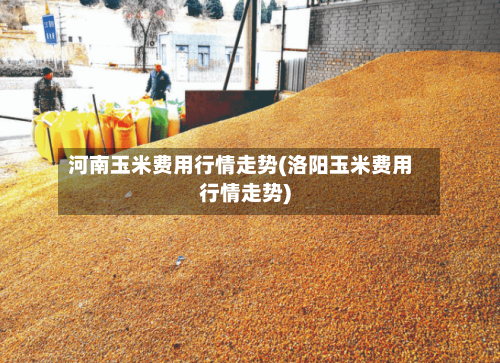 河南玉米费用行情走势(洛阳玉米费用行情走势)