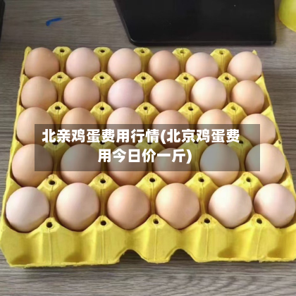 北亲鸡蛋费用行情(北京鸡蛋费用今日价一斤)-第2张图片