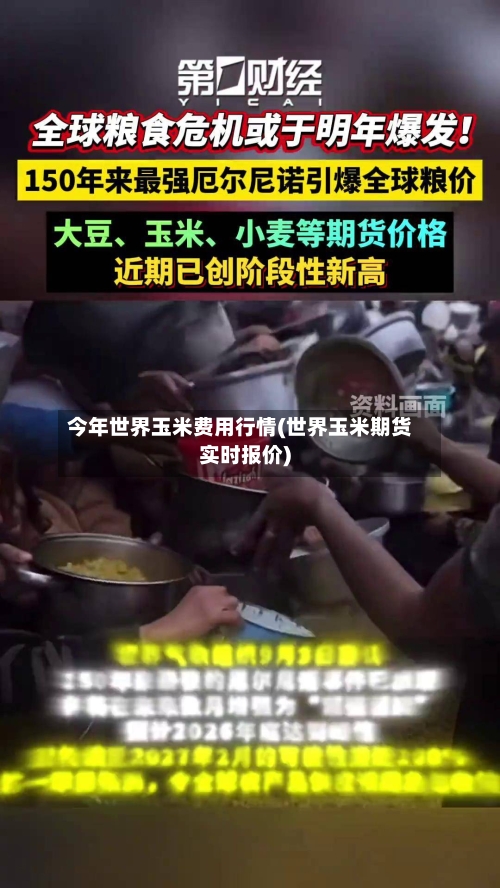 今年世界玉米费用行情(世界玉米期货实时报价)-第1张图片