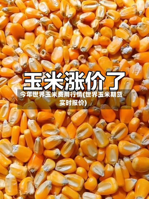 今年世界玉米费用行情(世界玉米期货实时报价)-第3张图片