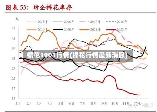 棉花1901行情(棉花行情最新消息)