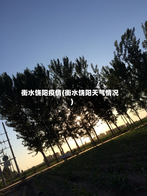 衡水饶阳疫情(衡水饶阳天气情况)-第2张图片