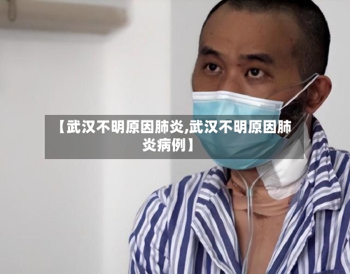 【武汉不明原因肺炎,武汉不明原因肺炎病例】-第2张图片