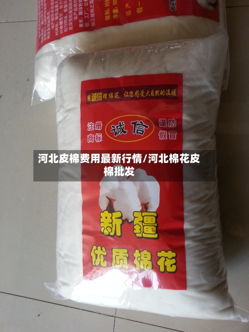 河北皮棉费用最新行情/河北棉花皮棉批发