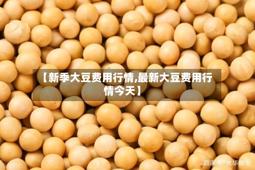 【新季大豆费用行情,最新大豆费用行情今天】-第2张图片